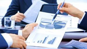 ELABORACION DE PROYECTOS DE INVERSION O PLANES