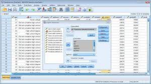 DOCENCIA ON LINE PARA AYUDAR CON EL PROGRAMA SPSS Y TRA