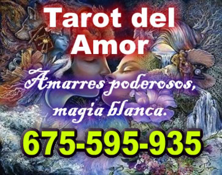 Tarot por telefono, visa.