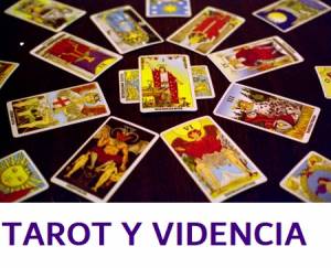 FDAFD Tarot profesional cartas