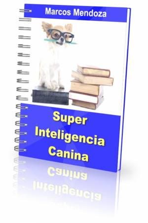 Adiestrar perro(Ebook) + regalo