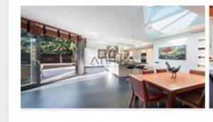 Limpiadora cuidadora perritos interna