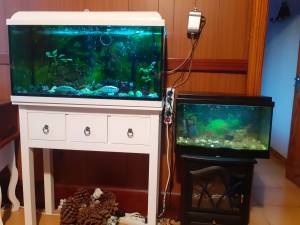 Vendo acuarios nuevos y funcionando.