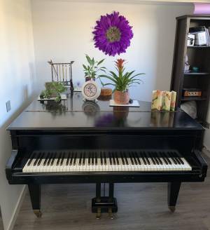 Vendo piano Ibach colín tipo Boudoir