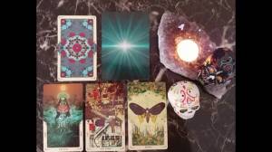 ¿Qué significa si sueñas con Sumo?