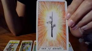 Tarot Por Teléfono Fijo Gratis, Acuario Amor Hoy Tarot Amigo