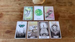 El Tarot Gratis Alicia, Tarot Amor Capricornio Hoy