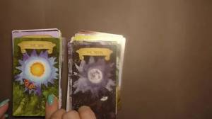 Tarot Del Amor Gratis Con Tres Cartas, Tarot Del Amor Verdadero Sin Mentiras