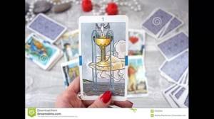 Ver El Signo De Tauro, El Amor Tarot