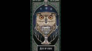 Quiero Ver El Horóscopo Del Día, Carta Imperatriz Tarot Amor