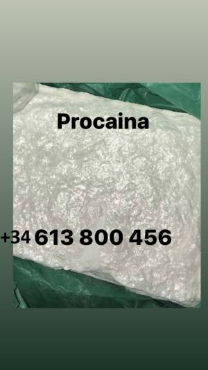 procaina tetramisol levamisol