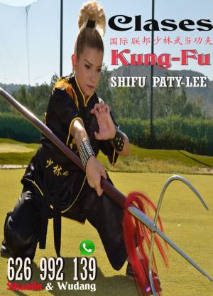 Clases de Kung Fu Infantil y Adultos