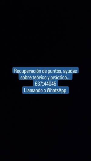 Se realizan carnet de conducir legales