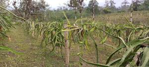 Oportunidad de inversión