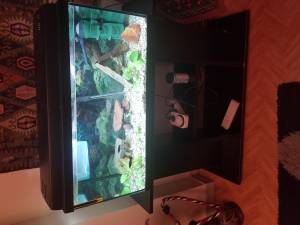 Vendo acuario de 100 l y mueble de acuario de 100 l