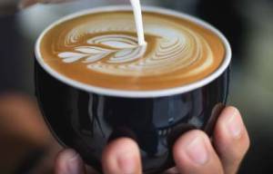 Curso de Barista Training