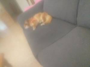 HOMBRE FAMILIA  MUJER