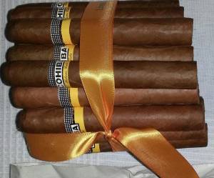 PUROS HABANOS COHIBA ROBUSTOS