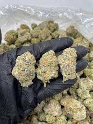 Runtz blanco (white runtz)=