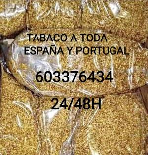 Tabaco de liar por kilos contra reembolso