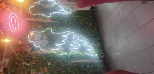 VIDENTE CANALIZADORA Y SANACIÓN