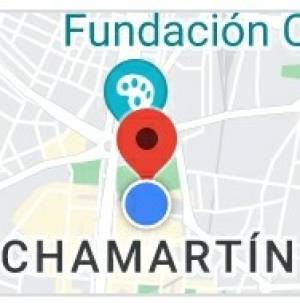 buscamos una masajista travesti