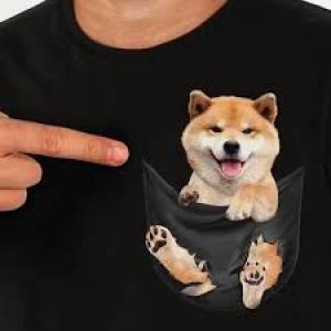 BELLESIMO SHIBA INU CACHORROS REGALA.NDO