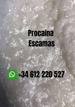 comprar procaina hcl procaina escamas