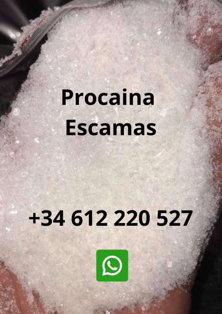 comprar procaina hcl procaina escamas