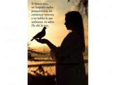 Tarot De La Madre Paz